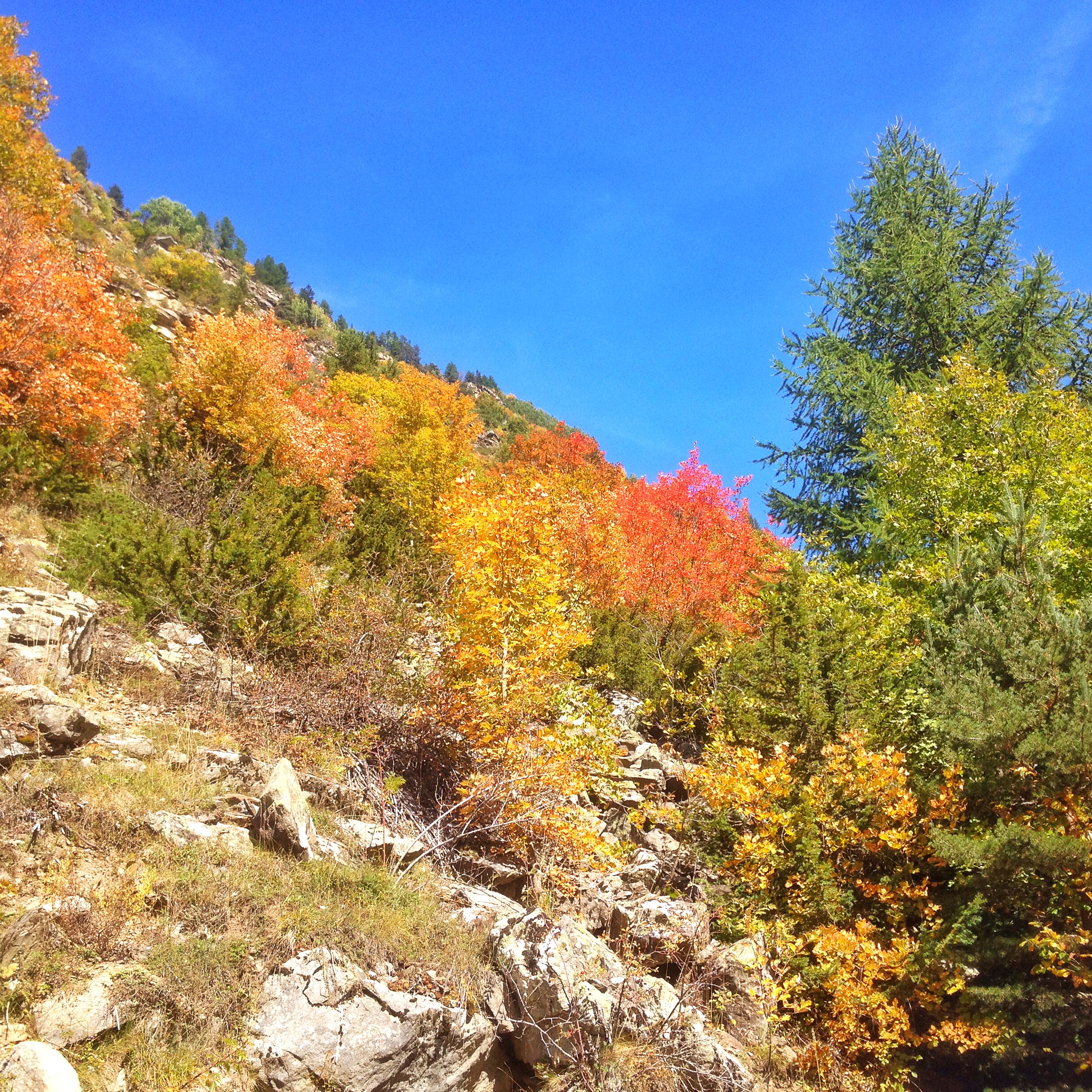La vallée du Fournel en automne