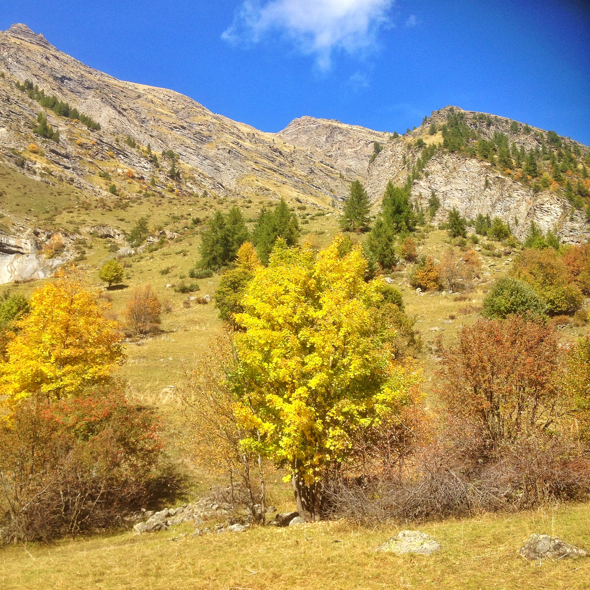 La vallée du Fournel en automne
