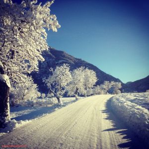 IMG_1497_W
