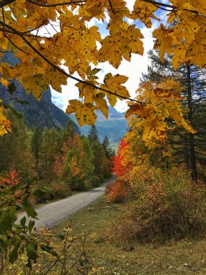 Vallée de Freissinières