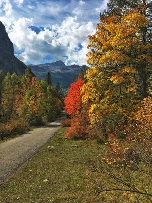 Hautes Alpes en automne