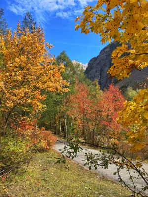 Parc des Ecrins en automne