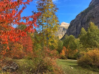 Couleurs d'automne