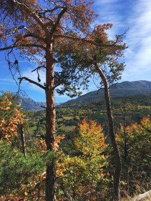 Automne Lac de Serre Ponçon