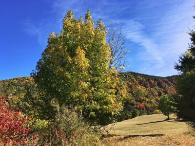 Automne Alpes