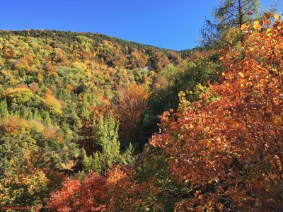 Explosion de couleurs