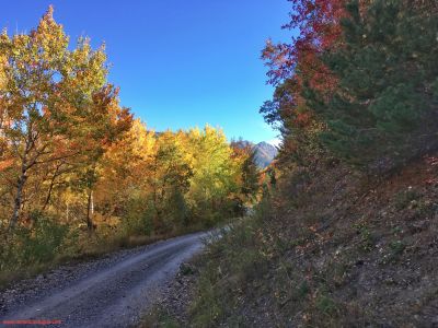 Beauté de l'automne