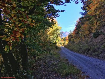 Les couleurs de l'automne