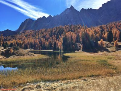 Les mélèzes en automne