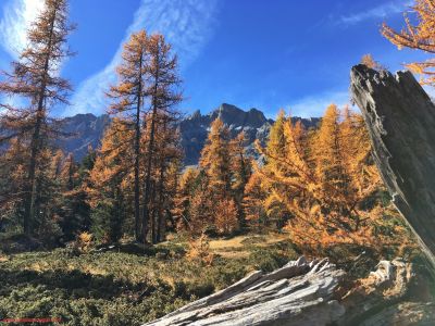 Vue d'automne