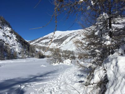 Paysage enneigé dans le Queyras