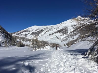 Paysage enneigé du Queyras