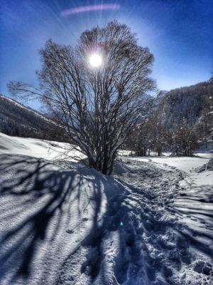 Neige et ciel bleu