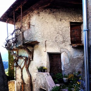 La maison avec la vigne