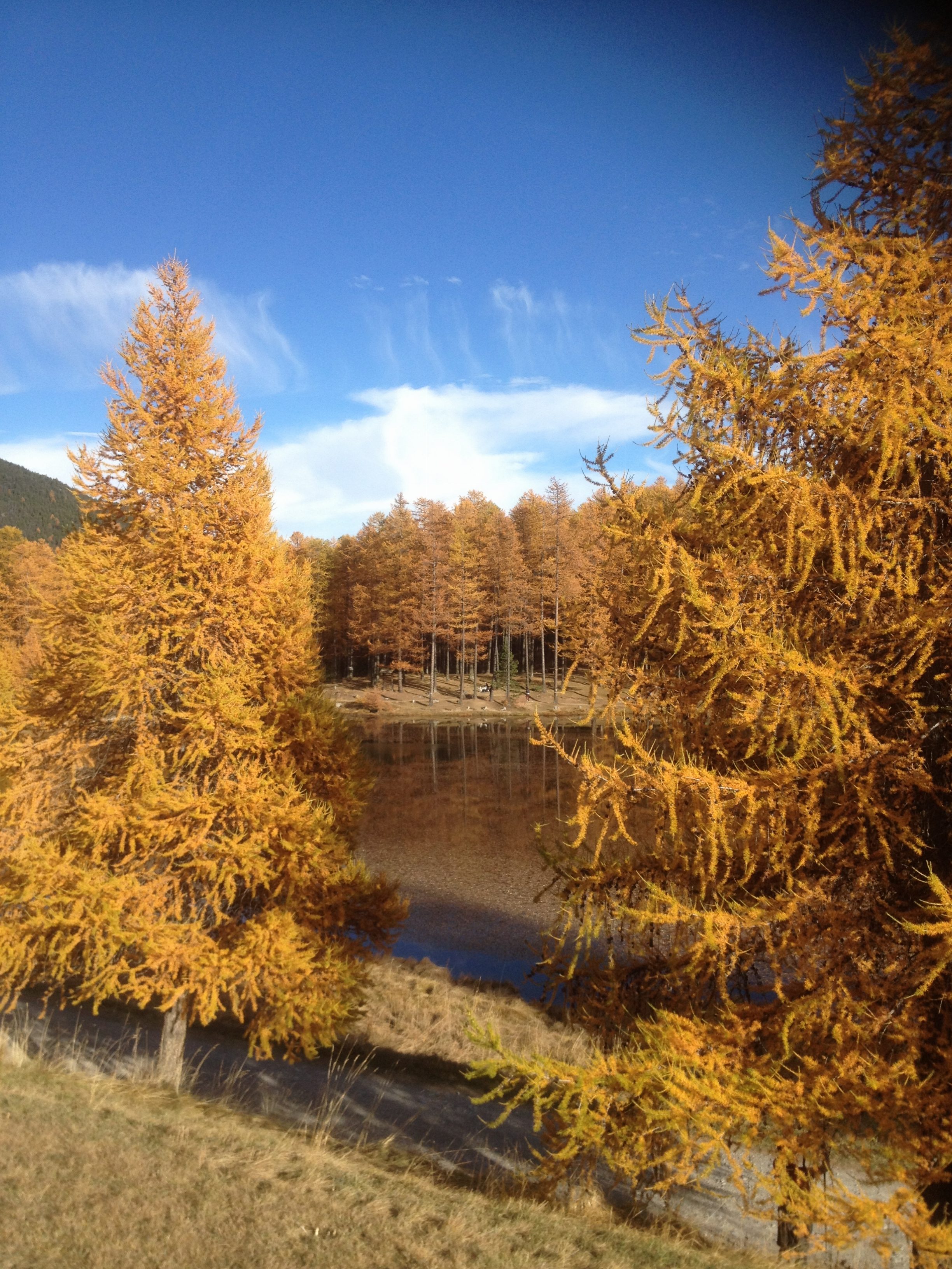 Le Lac de Roue