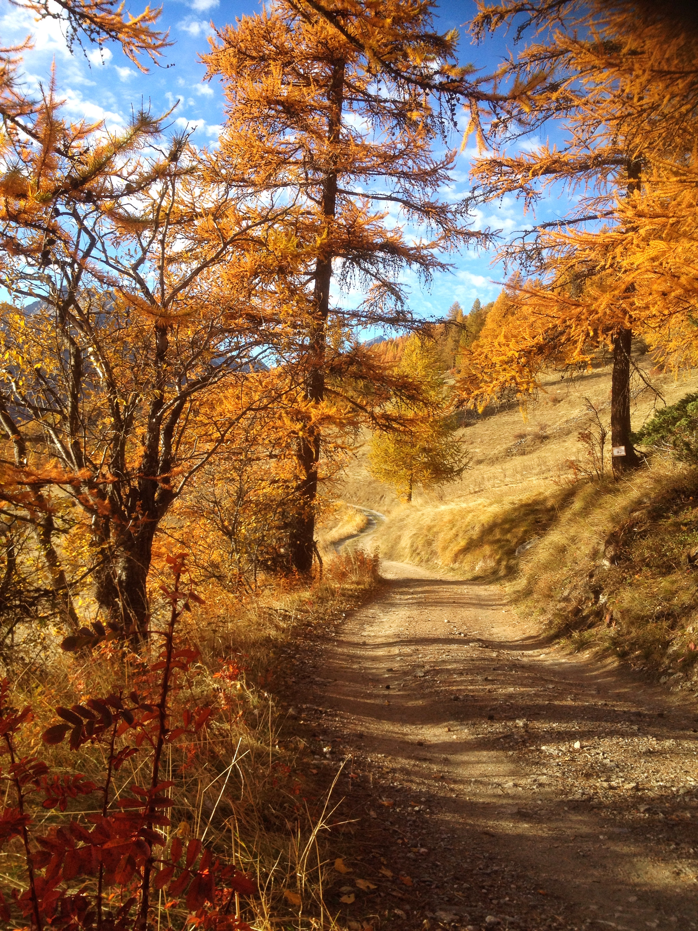 Le chemin vers le Lac de Roue