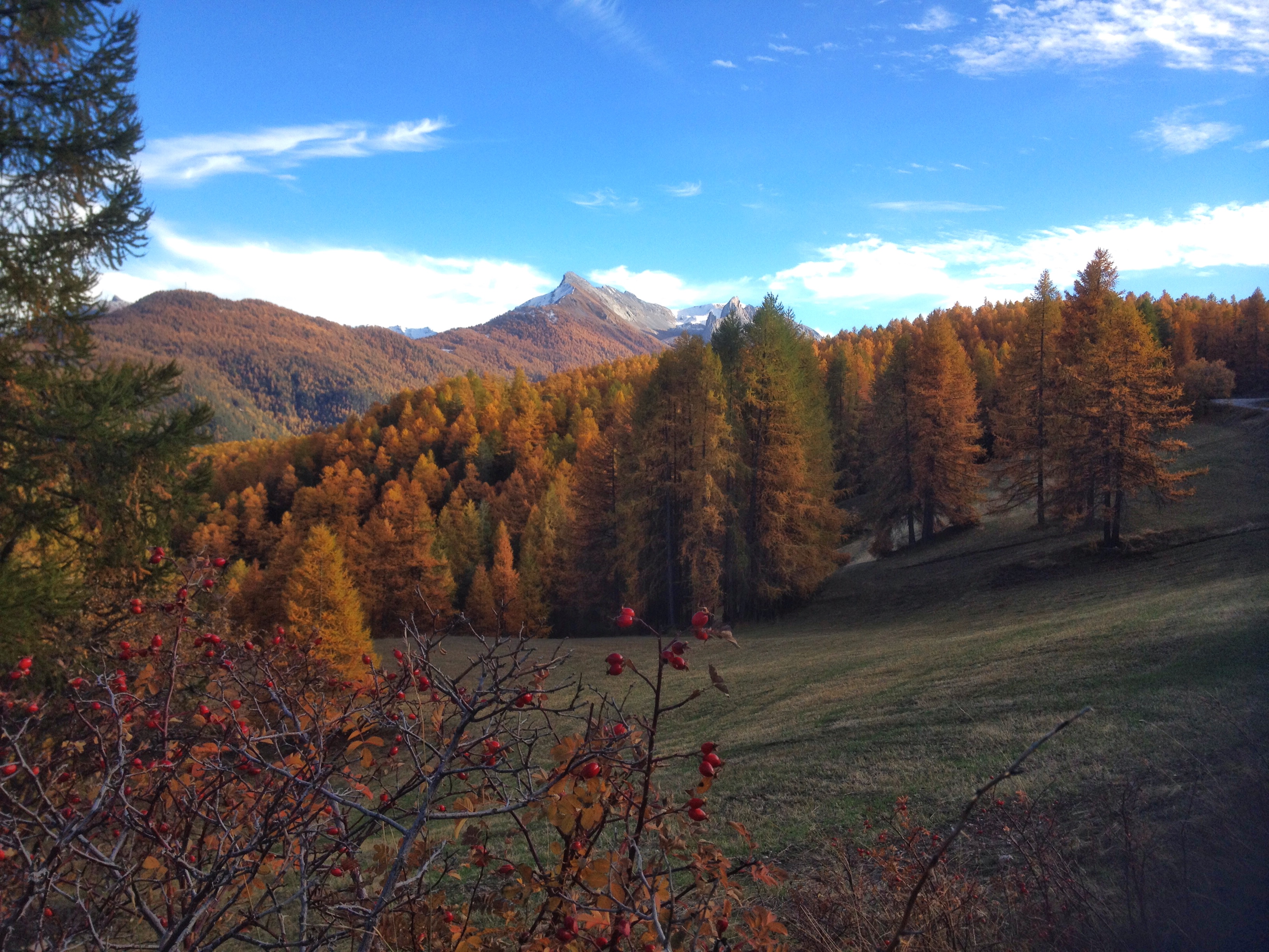 Sur la décente entre le Lac de Roue et le village de Souliers