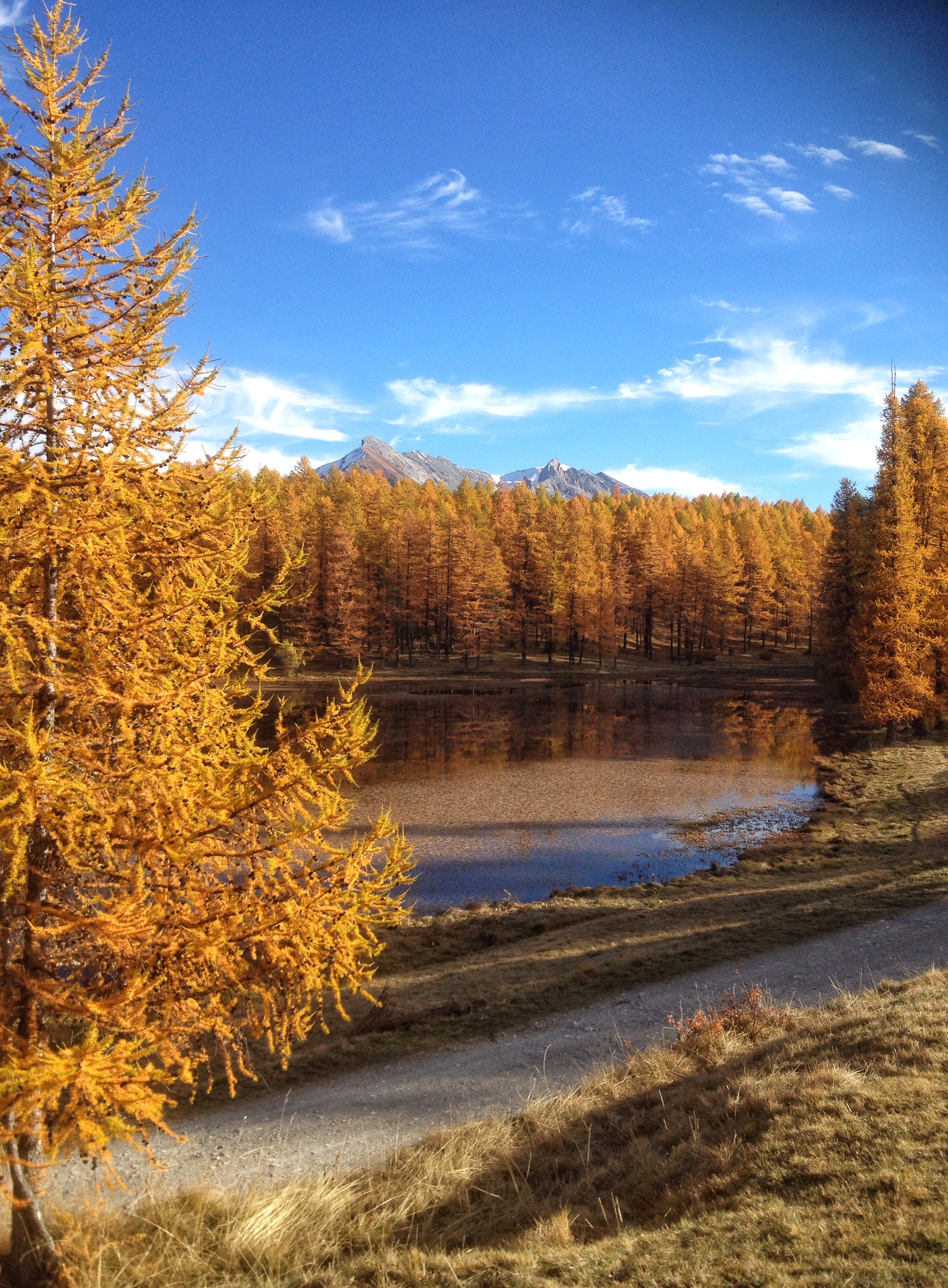 Le Lac de Roue en automne