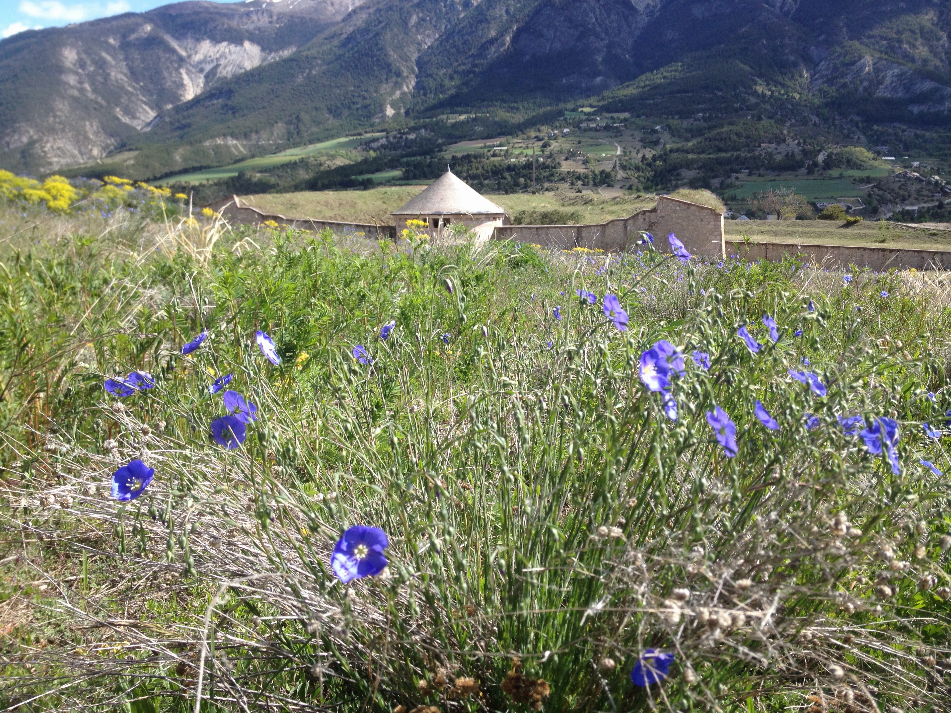 La lunette d'arçon