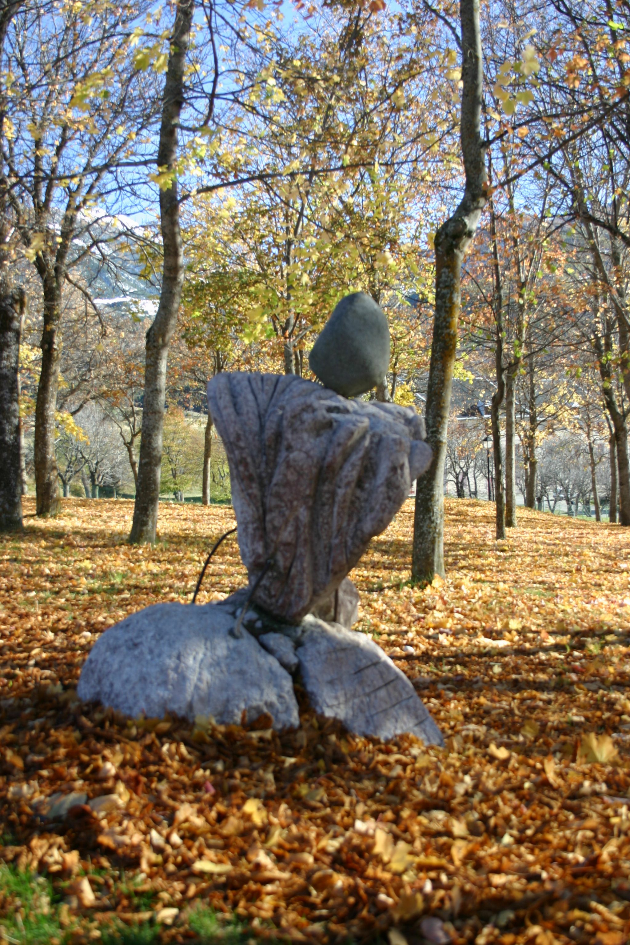 La plantation en automne