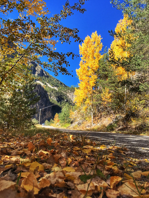 Herfstkleuren in de Queyras