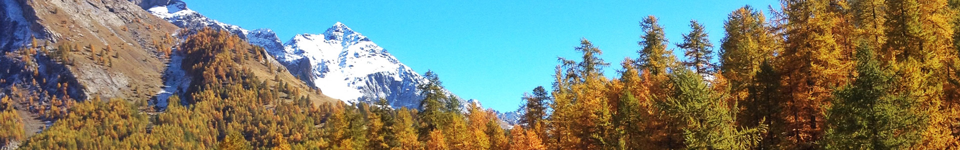 De herfst alpen