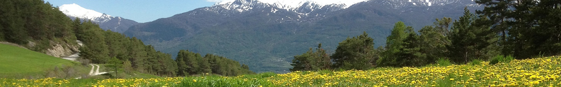 spring french alps